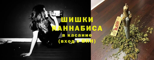 ГАЛЛЮЦИНОГЕННЫЕ ГРИБЫ Покровск
