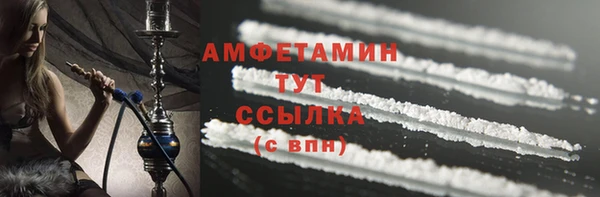 индика Пересвет