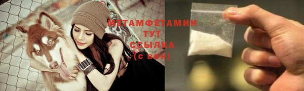 индика Пересвет