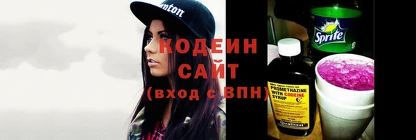 индика Пересвет