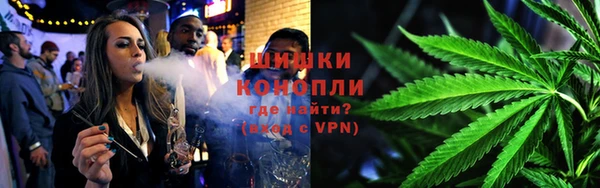 индика Пересвет