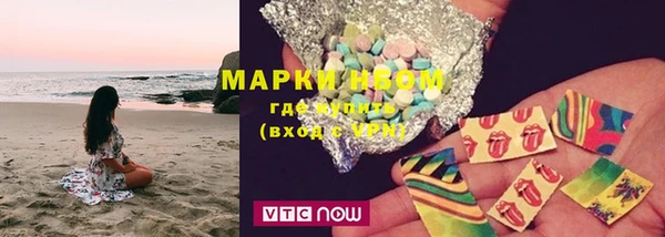 индика Пересвет